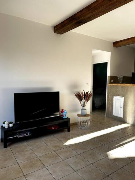 Superbe Appartement Dans Un Mas Nîmes Exterior foto
